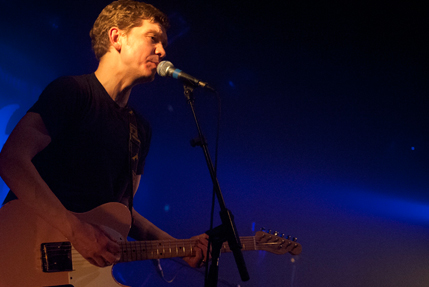the wombats